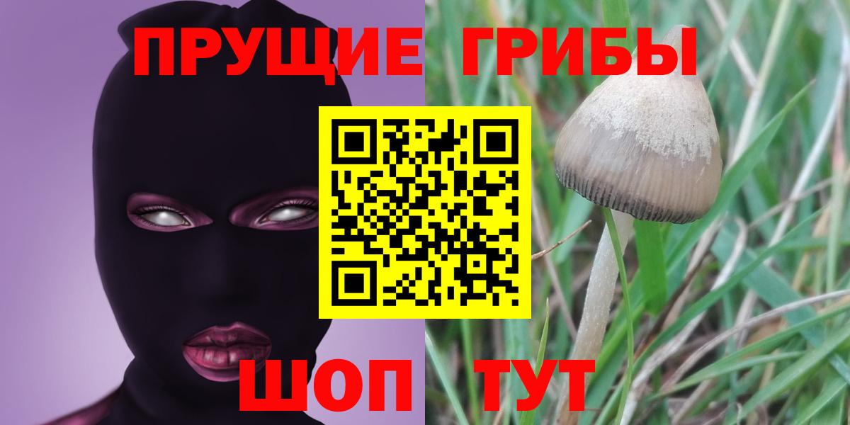 Псилоцибиновые грибы прущие грибы Шарыпово
